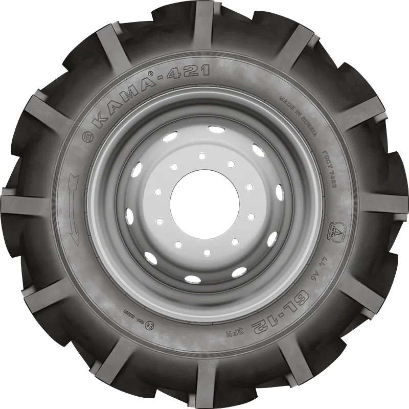 KAMA-421 в Называевске — KAMA TYRES KAMA-421 в Называевске