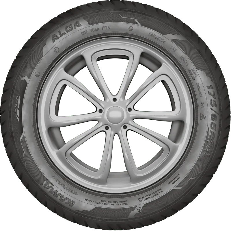 KAMA ALGA (НК-531) нешип в Называевске — KAMA TYRES KAMA ALGA (НК-531) нешип в Называевске