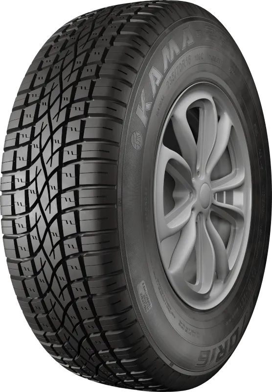 KAMA-221 в Называевске — KAMA TYRES KAMA-221 в Называевске