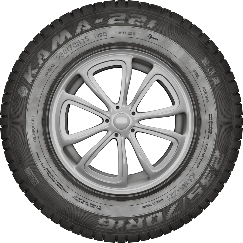 KAMA-221 в Называевске — KAMA TYRES KAMA-221 в Называевске